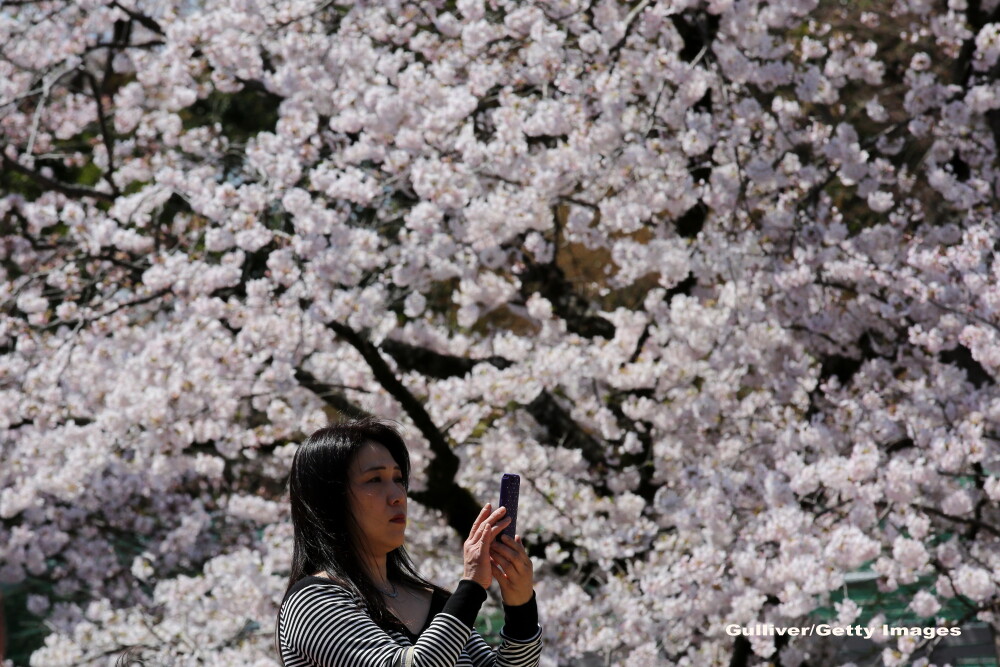 Japonia vrea sa devina tara cu cel mai mare turism din lume. Cati bani se castiga din 