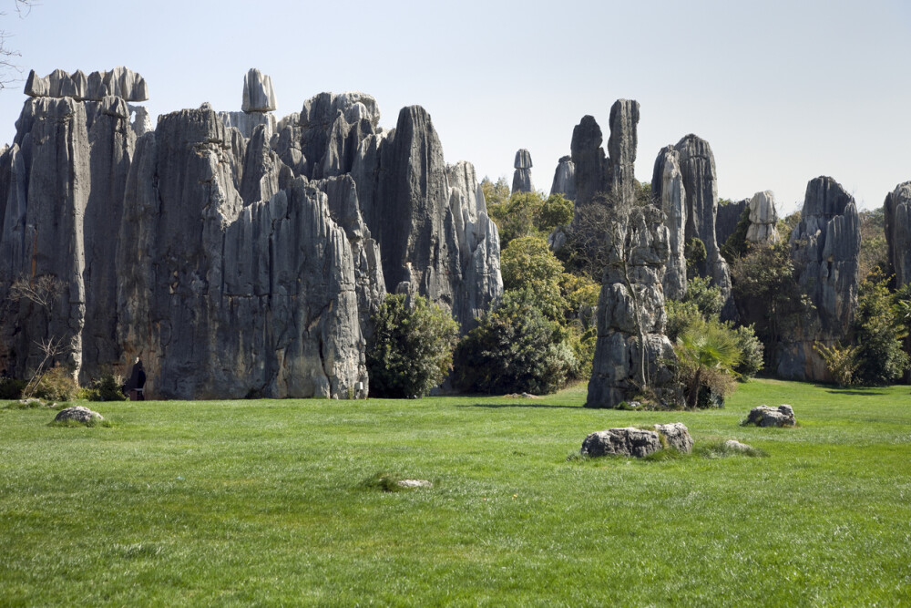 Cum arată Pădurea de Piatră. S-a format în urmă cu milioane de ani. GALERIE FOTO - Imaginea 6