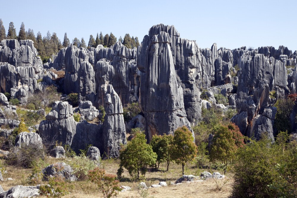Cum arată Pădurea de Piatră. S-a format în urmă cu milioane de ani. GALERIE FOTO - Imaginea 4
