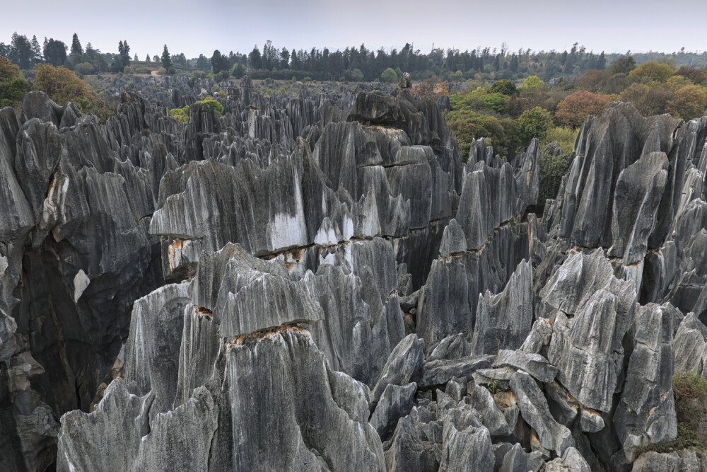 Cum arată Pădurea de Piatră. S-a format în urmă cu milioane de ani. GALERIE FOTO - Imaginea 3