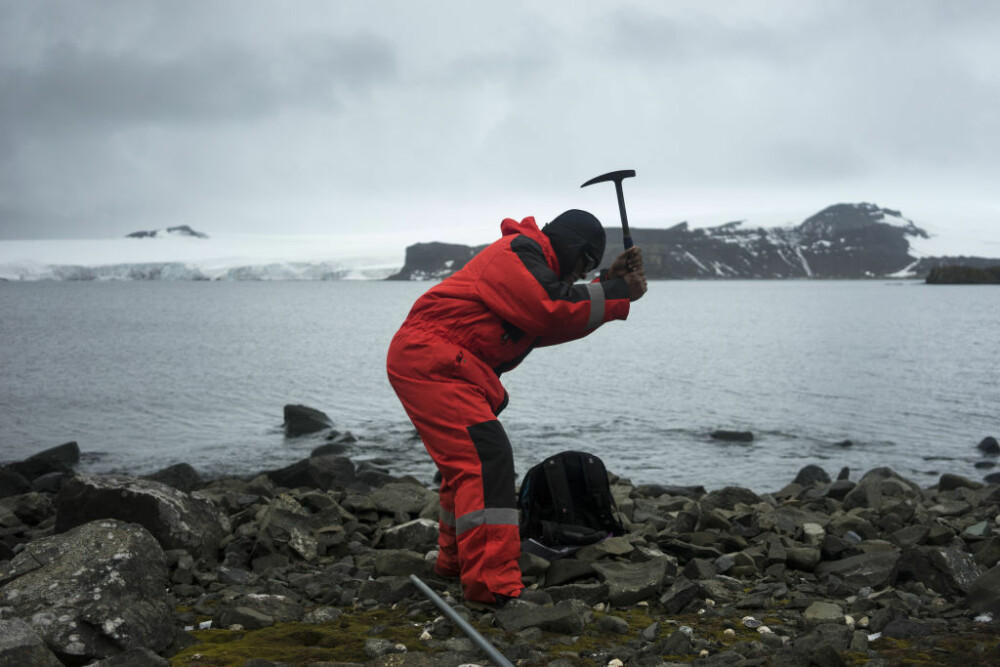 Antarctica ar putea fi verde din nou. Descoperirile care vor schimba regiunea polară - Imaginea 4