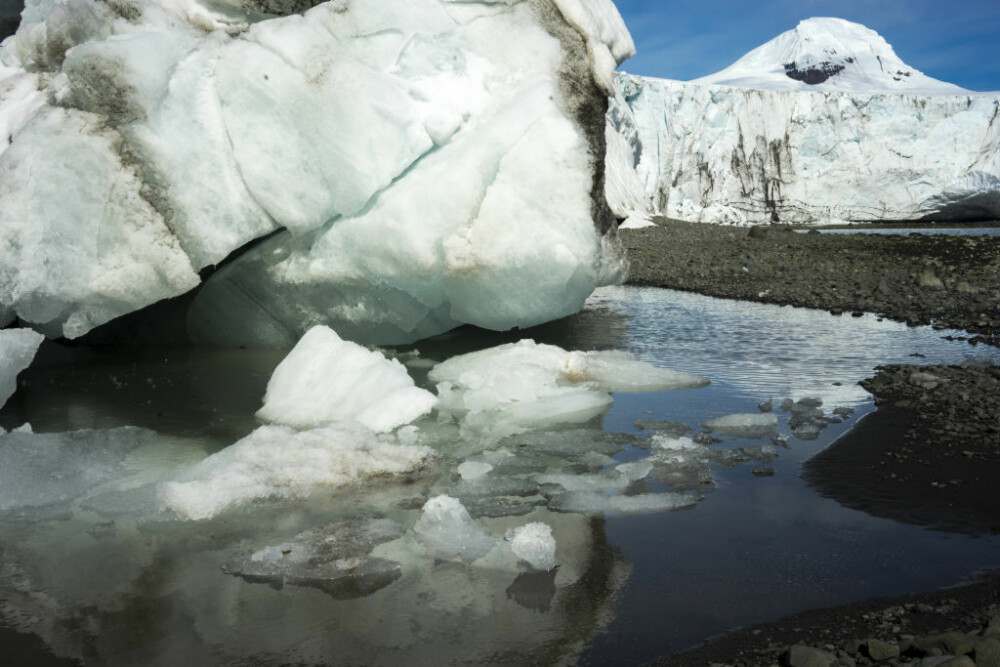 Antarctica ar putea fi verde din nou. Descoperirile care vor schimba regiunea polară - Imaginea 2