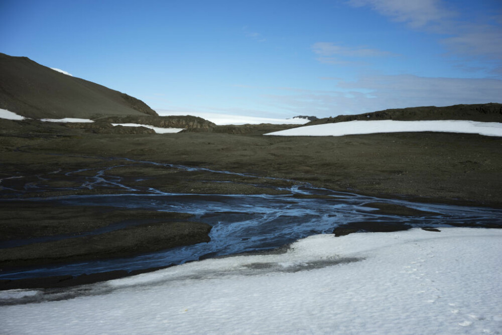 Antarctica ar putea fi verde din nou. Descoperirile care vor schimba regiunea polară - Imaginea 1