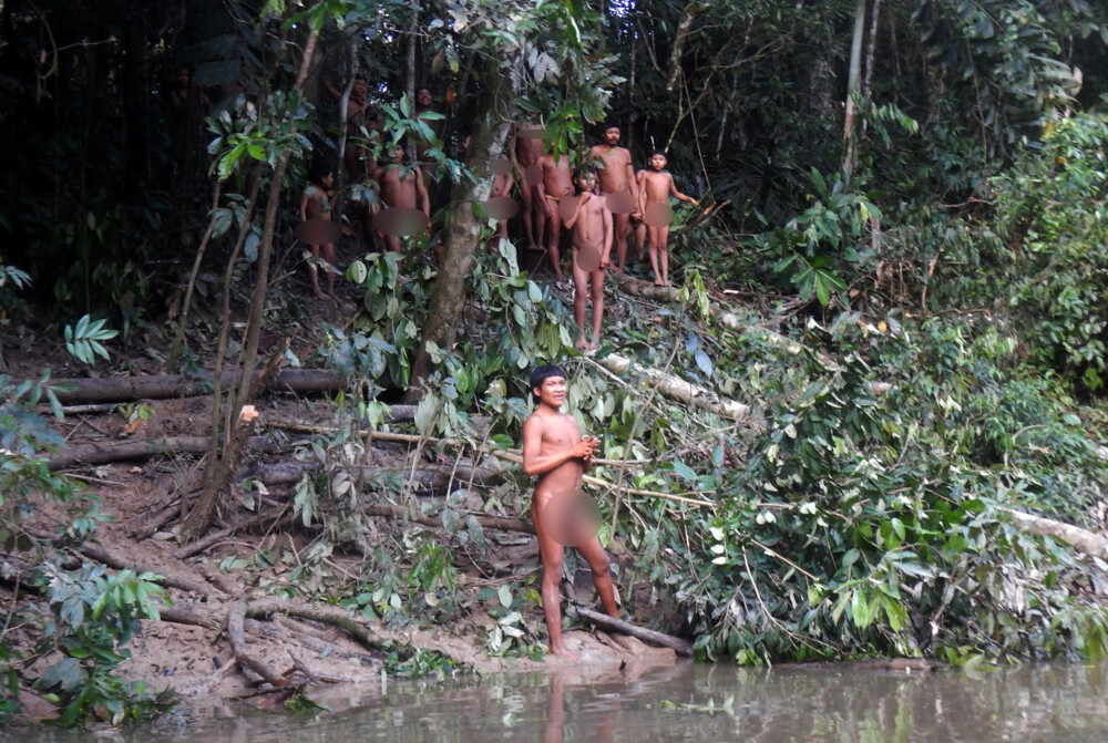 Un trib izolat din jungla amazoniană a fost contactat. Reacția băștinașilor. FOTO - Imaginea 2