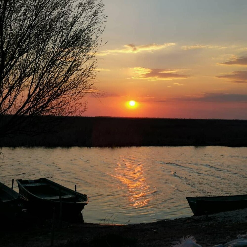 Cea mai mare deltă naturală din Europa, condamnată la izolare și sărăcie: Delta Dunării - Imaginea 4