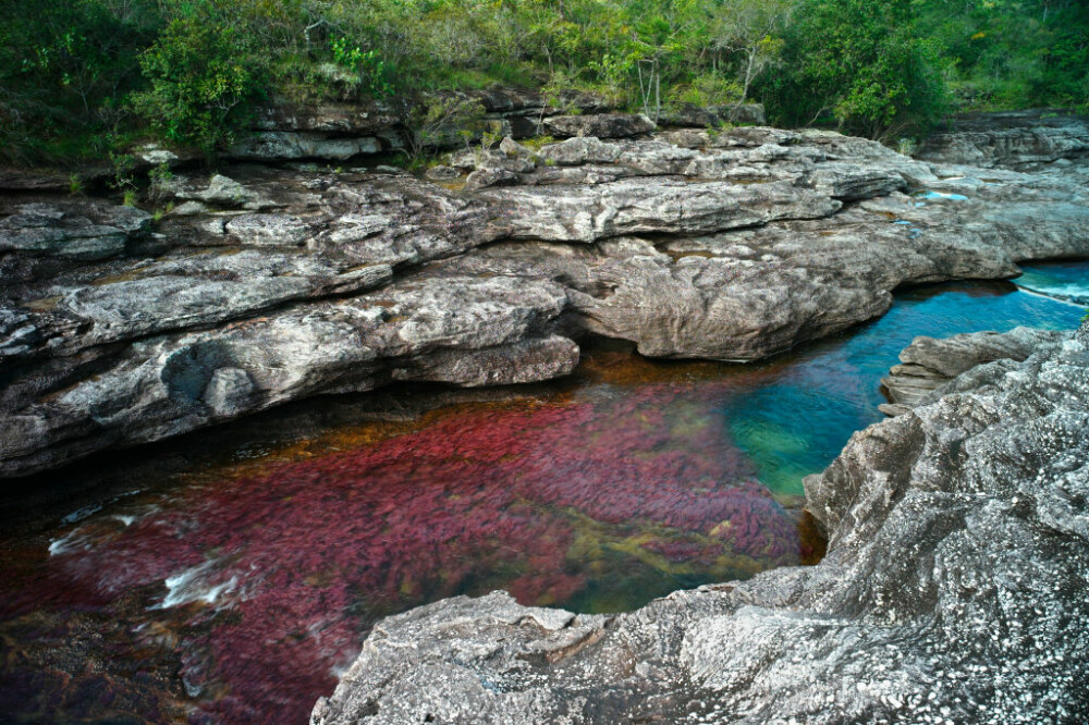 Motivul pentru care un râu curge în culorile curcubeului. Este unic în lume. GALERIE FOTO - Imaginea 10