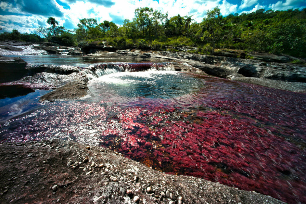 Motivul pentru care un râu curge în culorile curcubeului. Este unic în lume. GALERIE FOTO - Imaginea 8