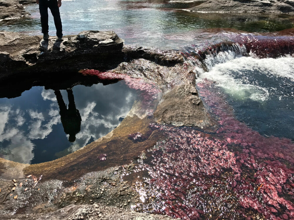 Motivul pentru care un râu curge în culorile curcubeului. Este unic în lume. GALERIE FOTO - Imaginea 6