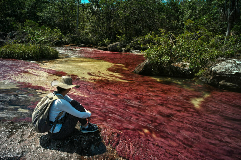 Motivul pentru care un râu curge în culorile curcubeului. Este unic în lume. GALERIE FOTO - Imaginea 5