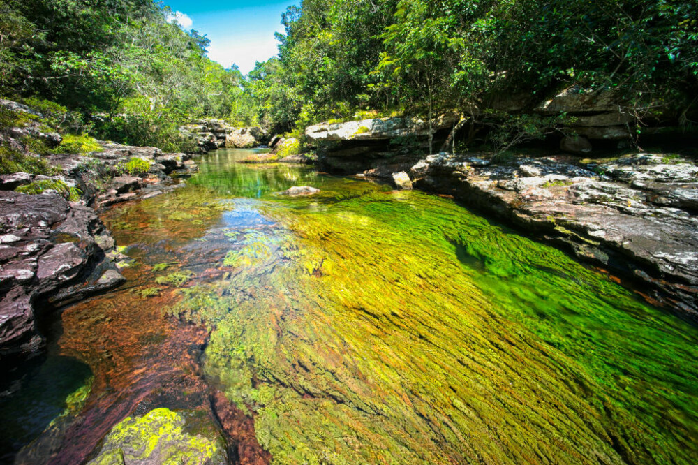 Motivul pentru care un râu curge în culorile curcubeului. Este unic în lume. GALERIE FOTO - Imaginea 4