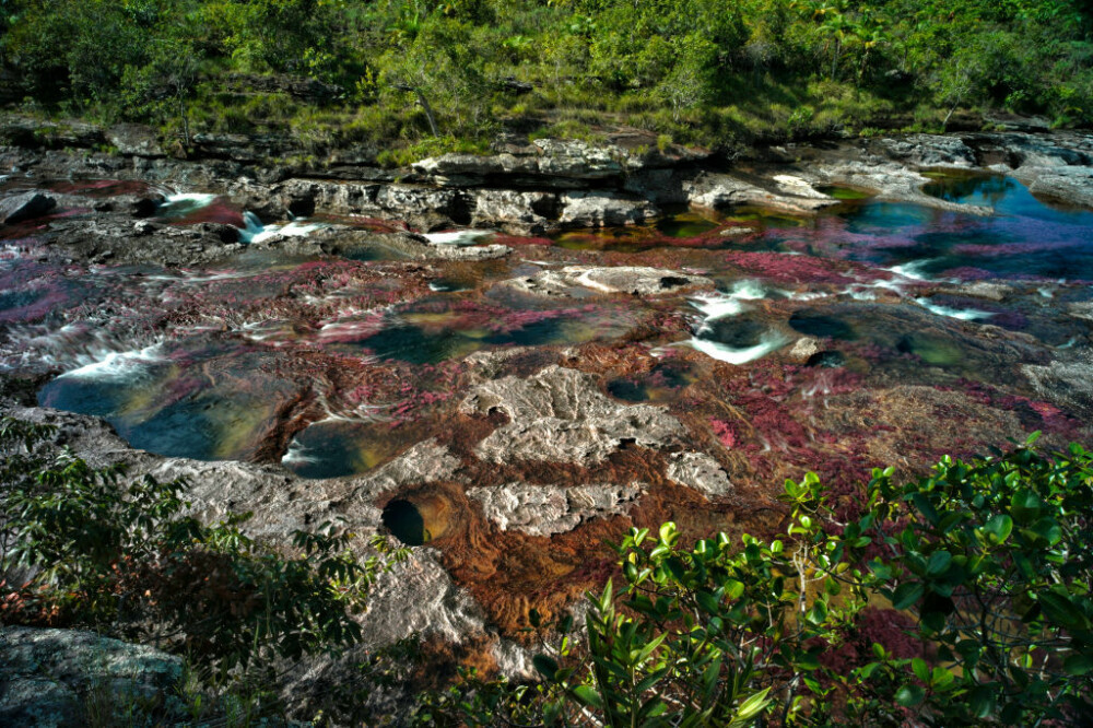 Motivul pentru care un râu curge în culorile curcubeului. Este unic în lume. GALERIE FOTO - Imaginea 3