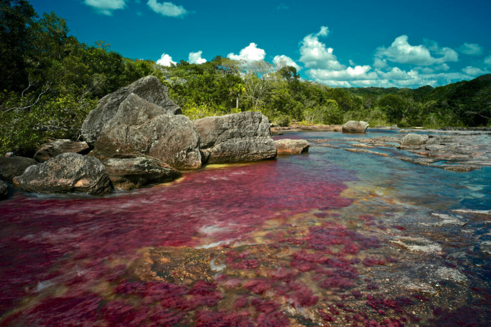 Motivul pentru care un râu curge în culorile curcubeului. Este unic în lume. GALERIE FOTO - Imaginea 2