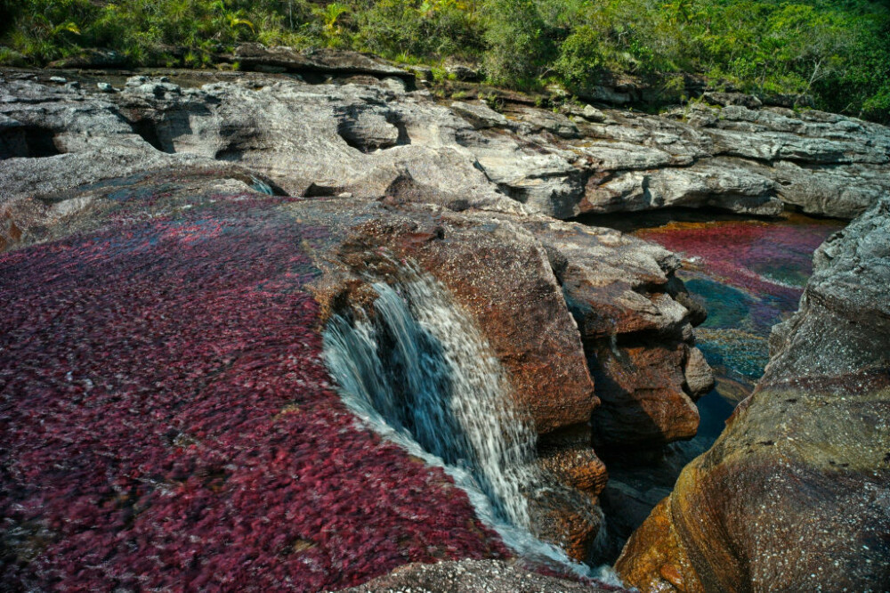 Motivul pentru care un râu curge în culorile curcubeului. Este unic în lume. GALERIE FOTO - Imaginea 1