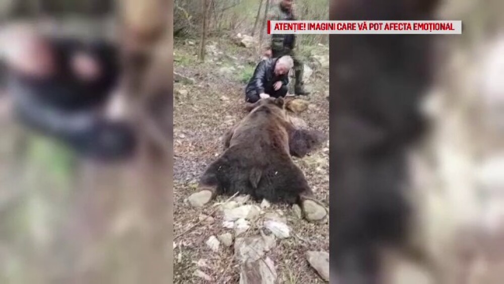 Au ucis o ursoaică, după care au aruncat cu bere pe ea: „Pomana porcului, hai să trăim” - Imaginea 2