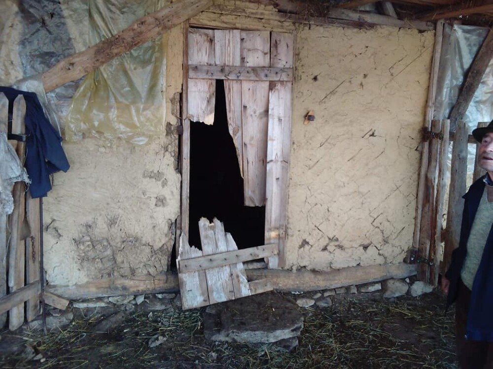 Gospodărie din Colți, Buzău, atacată de urs, după ce o ursoaică a fost ucisă și batjocorită - Imaginea 3