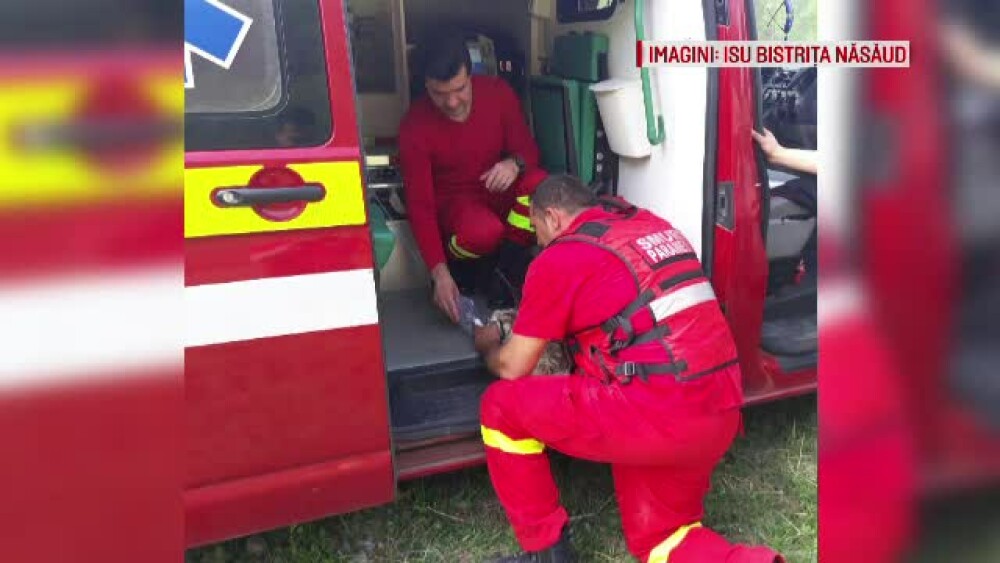 Pompierii români au salvat viața unui iepure. I-au pus un tub de oxigen, să respire - Imaginea 4