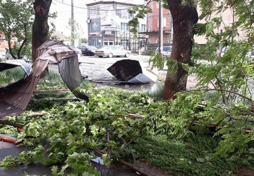 Furtună cu grindină la Timișoara! Vântul a rupt copaci și a smuls acoperișuri. VIDEO - Imaginea 7