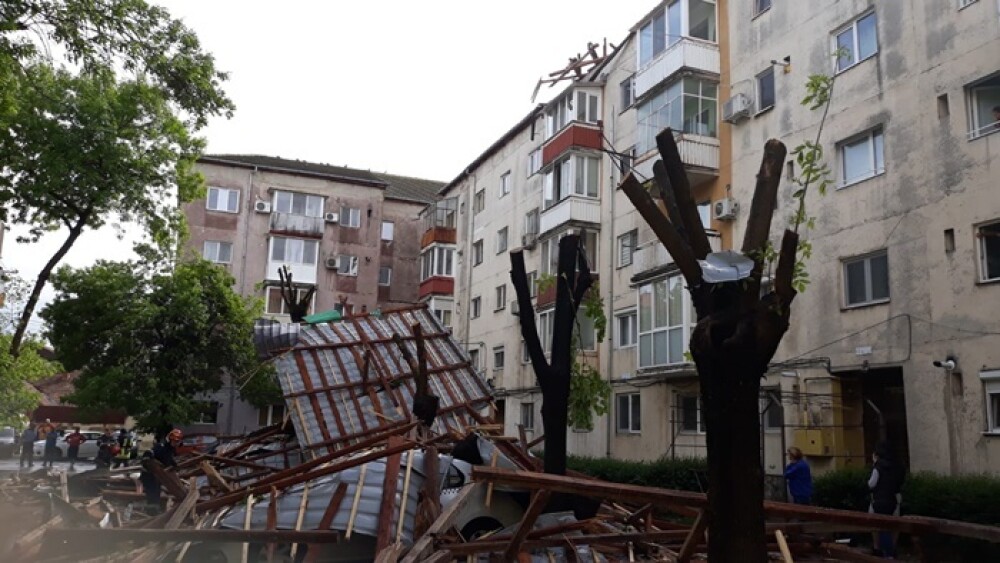 Furtună cu grindină la Timișoara! Vântul a rupt copaci și a smuls acoperișuri. VIDEO - Imaginea 2