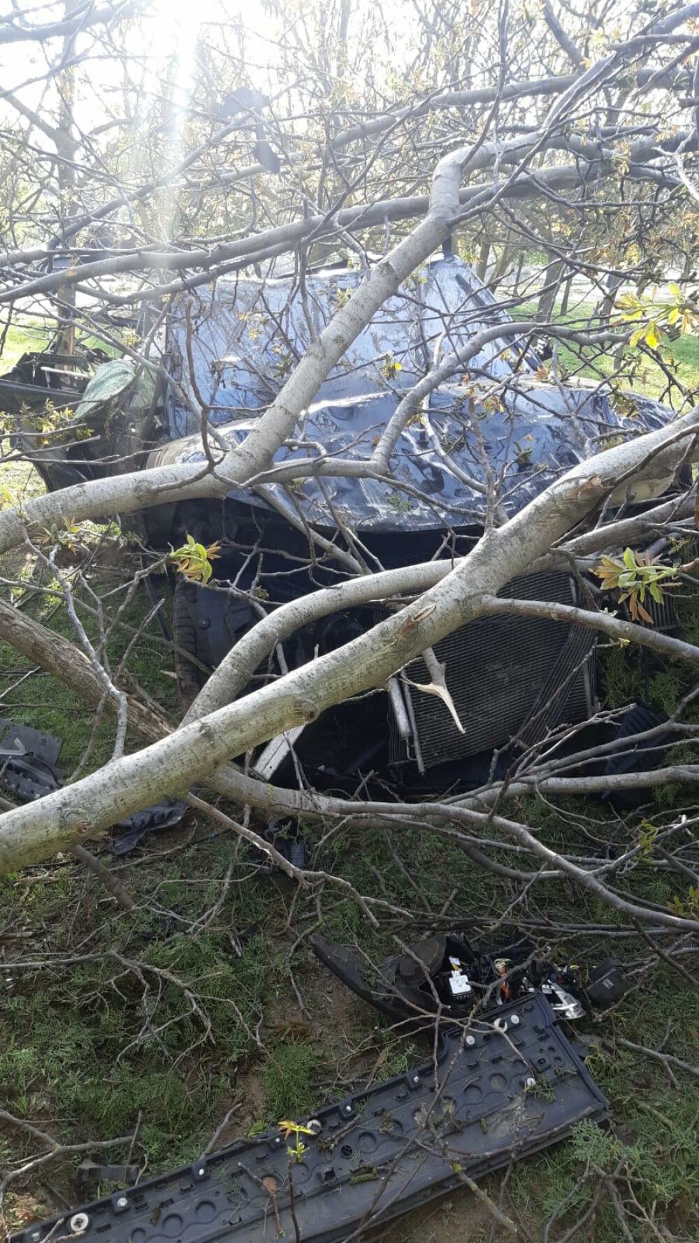 Surse: Ce au găsit anchetatorii la locul accidentului în care a murit Răzvan Ciobanu - Imaginea 4