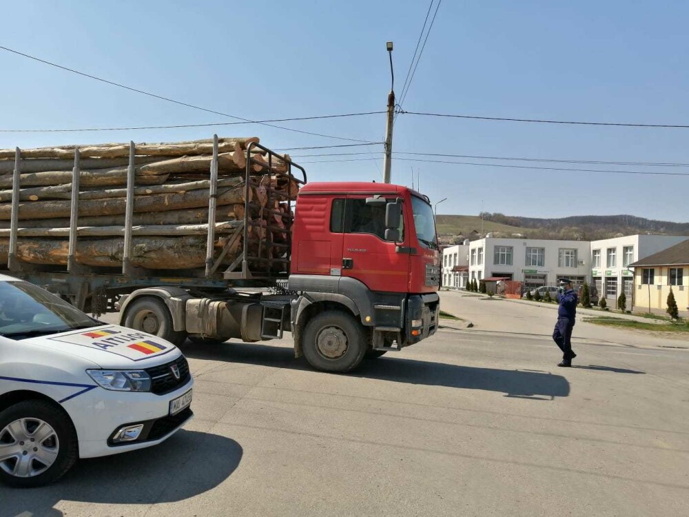 106 dosare penale și 2.000 de metri cubi de lemn confiscat. Totul într-o singură săptămână. GALERIE FOTO și VIDEO - Imaginea 9