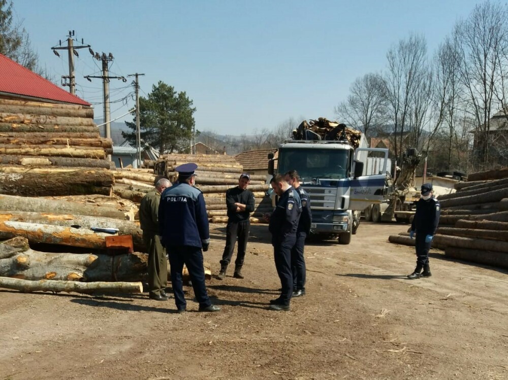 106 dosare penale și 2.000 de metri cubi de lemn confiscat. Totul într-o singură săptămână. GALERIE FOTO și VIDEO - Imaginea 8