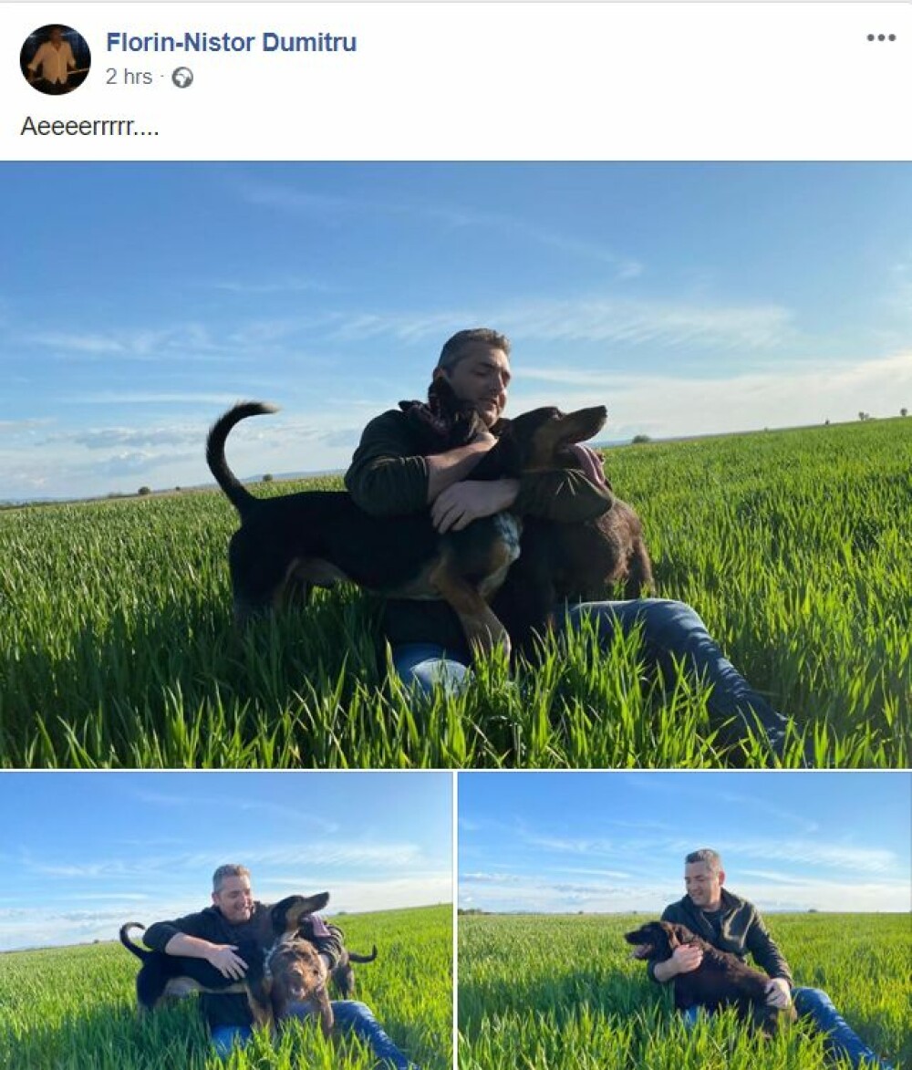 Șeful Poliției Locale Lugoj a ieșit cu câinii pe un câmp, dar nu a fost sancționat - Imaginea 1