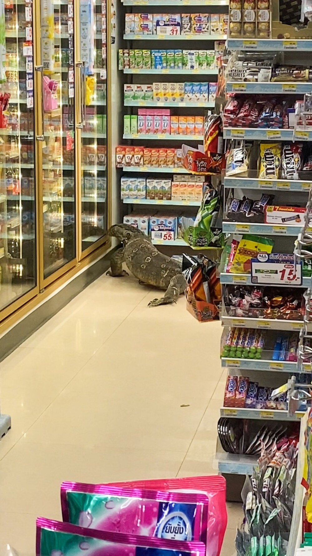 Video. O șopârlă de doi metri a intrat într-un supermarket din Thailanda. Ce s-a întâmplat la scurt timp - Imaginea 1