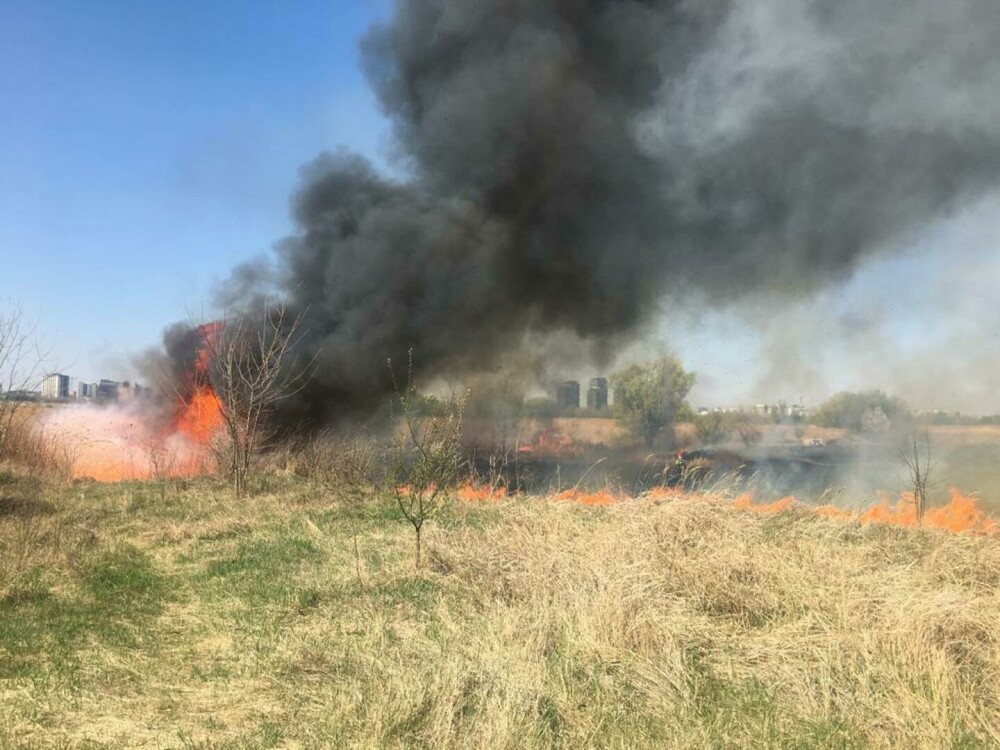 Incendiu de vegetație în Delta Văcărești. Suprafaţa afectată este de aproximativ 15.000 de mp. VIDEO - Imaginea 5