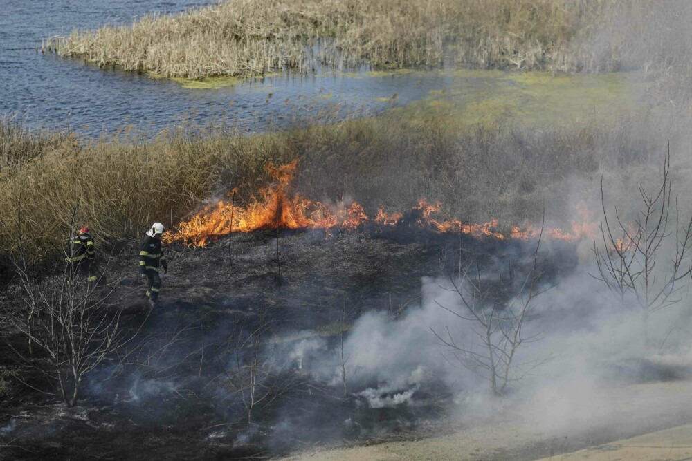 Incendiu de vegetație în Delta Văcărești. Suprafaţa afectată este de aproximativ 15.000 de mp. VIDEO - Imaginea 6