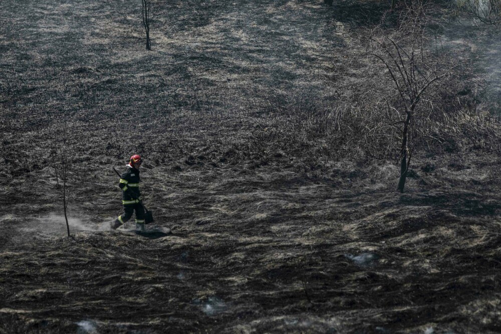 Incendiu de vegetație în Delta Văcărești. Suprafaţa afectată este de aproximativ 15.000 de mp. VIDEO - Imaginea 7