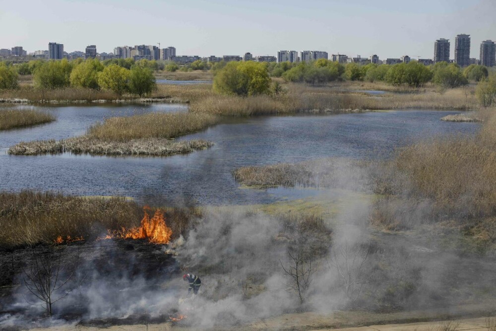 Incendiu de vegetație în Delta Văcărești. Suprafaţa afectată este de aproximativ 15.000 de mp. VIDEO - Imaginea 8