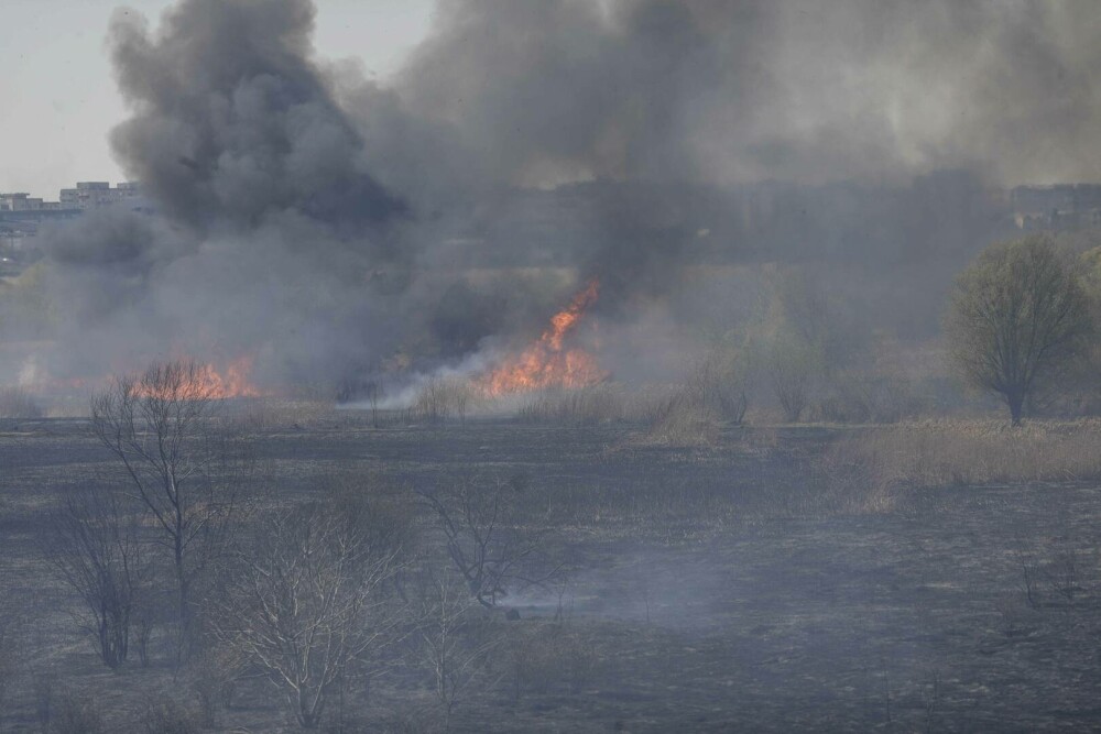 Incendiu de vegetație în Delta Văcărești. Suprafaţa afectată este de aproximativ 15.000 de mp. VIDEO - Imaginea 9