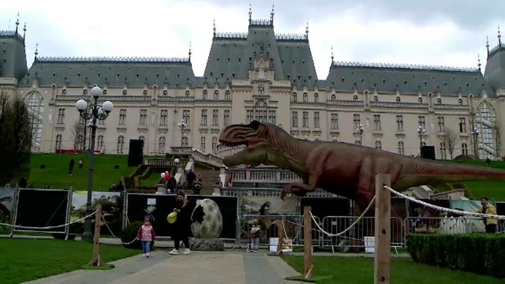Întâlnire cu dinozaurii într-un centru comercial din Iași. Expoziția este deschisă până pe 26 aprilie. GALERIE FOTO - Imaginea 6