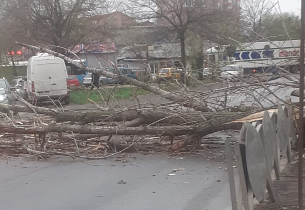 Vântul puternic face prăpăd în țară. Copaci căzuți, mașini avariate, stâlpi afectaţi - Imaginea 1