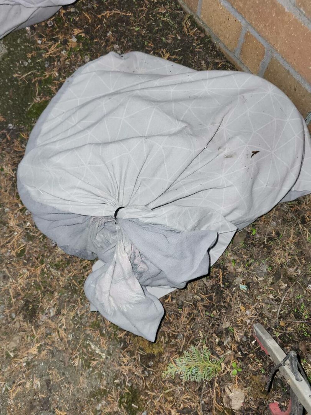 Descoperirea șocantă din gunoi. Ce a găsit un voluntar pe marginea drumului, în mai multe fețe de perne | FOTO - Imaginea 2