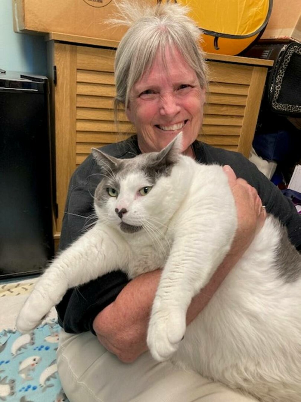 O pisică uriașă care cântărește 18 kilograme a fost adoptată în SUA. FOTO - Imaginea 3