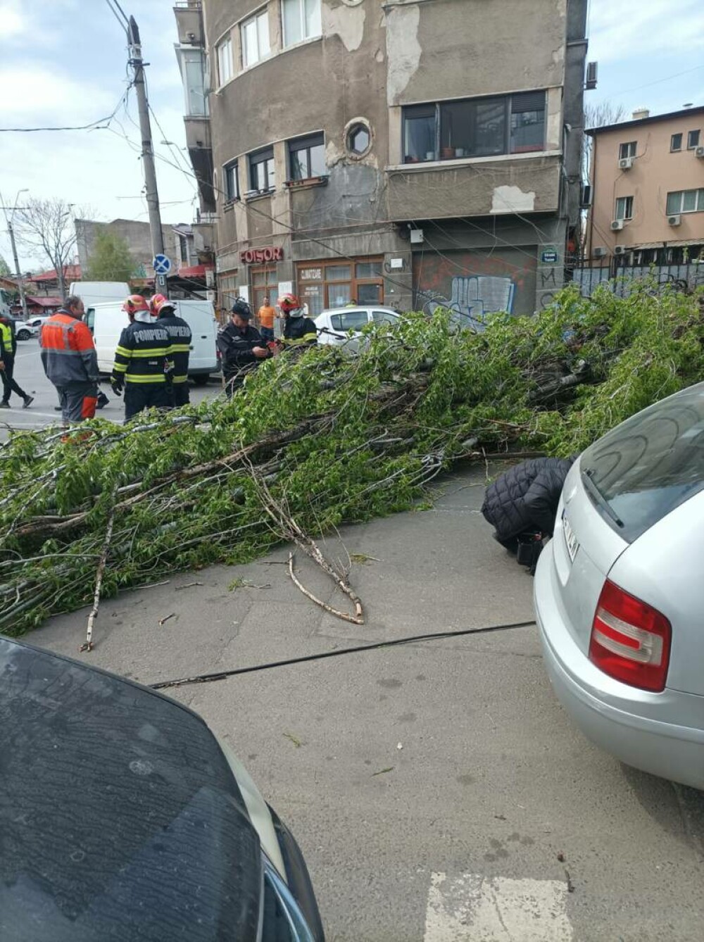 Copaci doborâți de vânt, în București. Fenomenele meteo provoacă distrugeri în Capitală. GALERIE FOTO - Imaginea 4