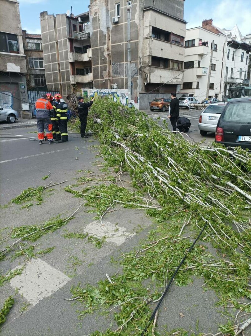 Copaci doborâți de vânt, în București. Fenomenele meteo provoacă distrugeri în Capitală. GALERIE FOTO - Imaginea 5