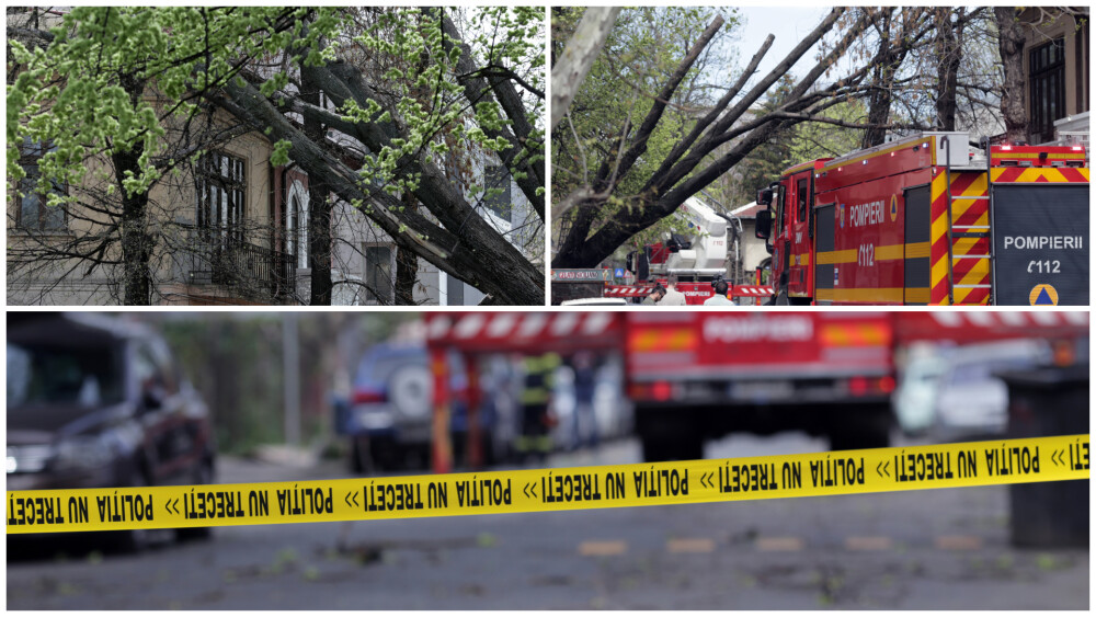 Furtunile fac prăpăd în România. Au doborât copaci, iar circulația trenurilor e afectată. „Ne ia vântul. Ferească Dumnezeu!” - Imaginea 8