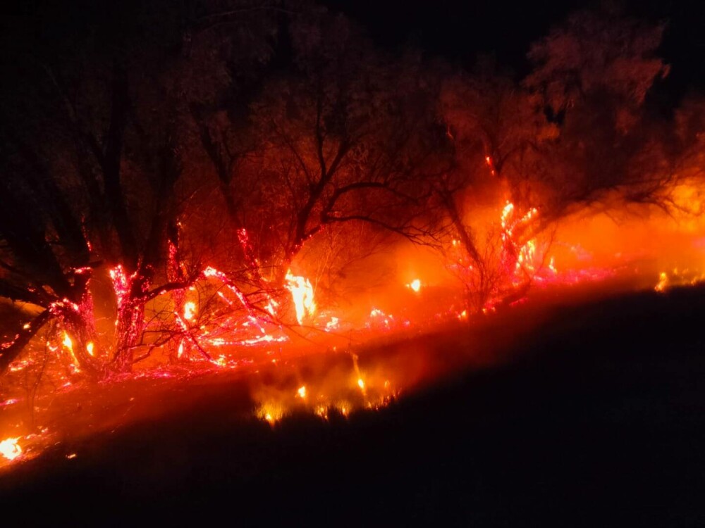 Incendiu de proporții într-o pădure din Galaţi. Flăcările s-au extins pe 10 hectare | GALERIE FOTO & VIDEO - Imaginea 3