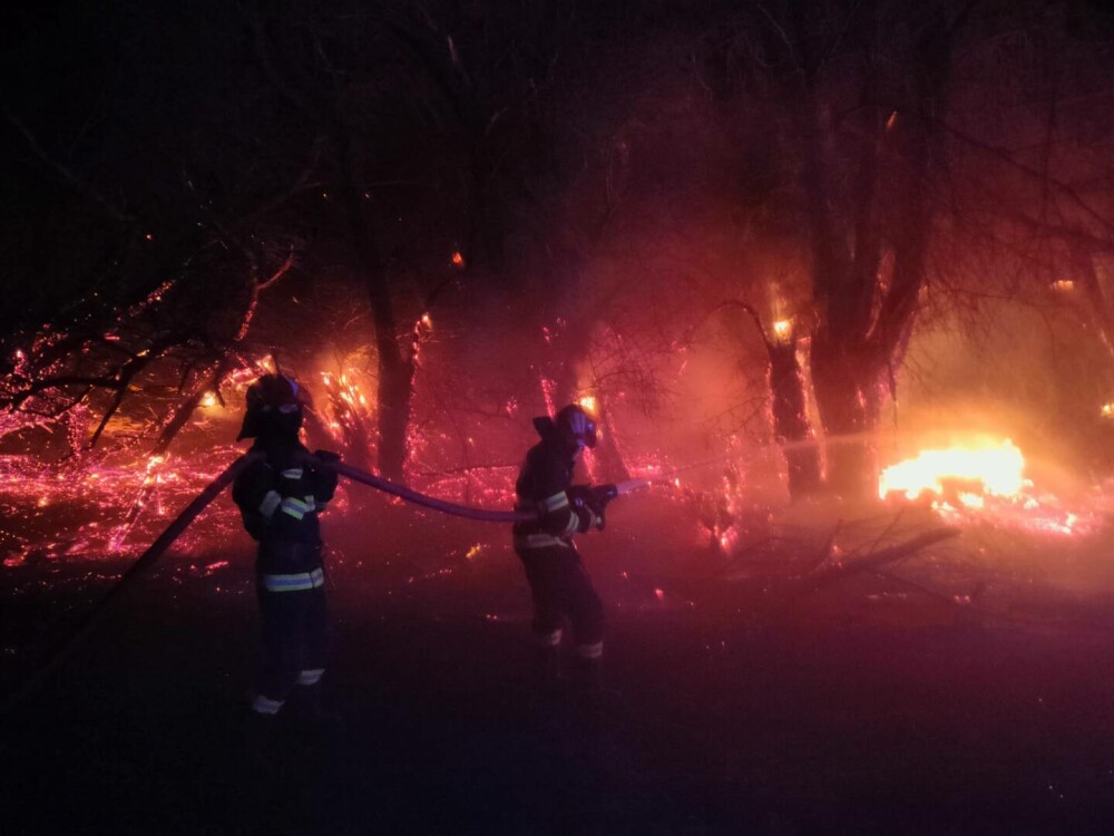 Incendiu de proporții într-o pădure din Galaţi. Flăcările s-au extins pe 10 hectare | GALERIE FOTO & VIDEO - Imaginea 1