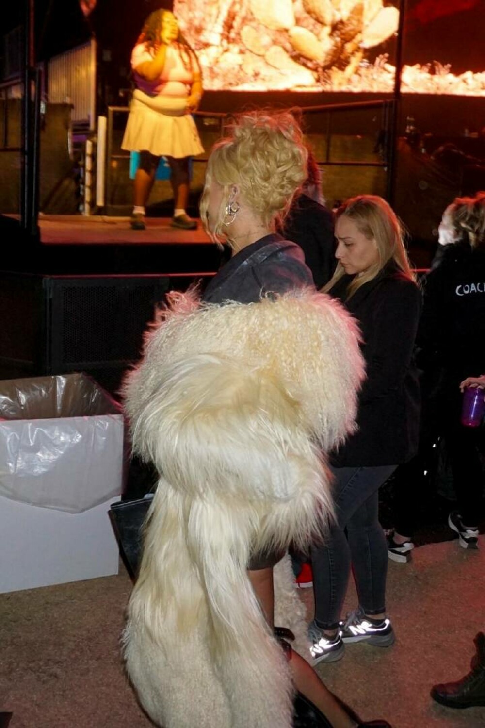 Cum s-a îmbrăcat Rihanna la Coachella. Artista a furat toate privirile. GALERIE FOTO - Imaginea 7