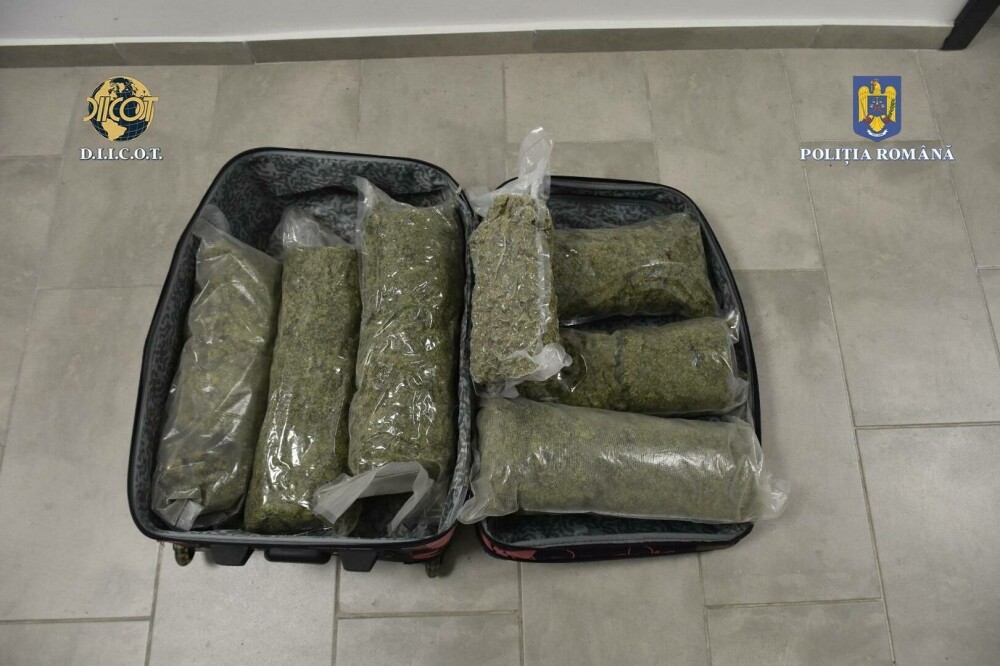 Prins în flagrant cu un troler plin cu canabis. Bărbatul voia să obțină 19.000 de euro, dar a fost reținut. FOTO - Imaginea 2