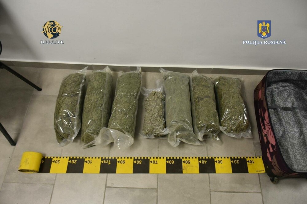 Prins în flagrant cu un troler plin cu canabis. Bărbatul voia să obțină 19.000 de euro, dar a fost reținut. FOTO - Imaginea 3