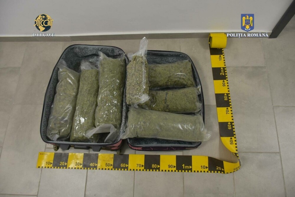 Prins în flagrant cu un troler plin cu canabis. Bărbatul voia să obțină 19.000 de euro, dar a fost reținut. FOTO - Imaginea 4