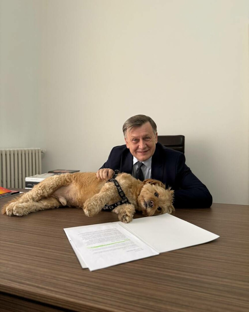 Cine este Crin Antonescu, ”omul nou” al PSD, PNL și UDMR. A plecat 10 ani din politică din cauza lui Iohannis și a lui Ponta - Imaginea 2