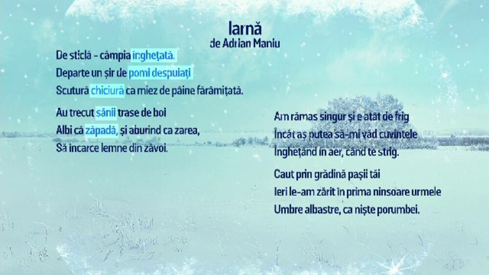 Limba română, marea provocare la simularea Bacalaureatului. Elevii au confundat „Iarna” cu „lama”. Cum s-a produs confuzia - Imaginea 1