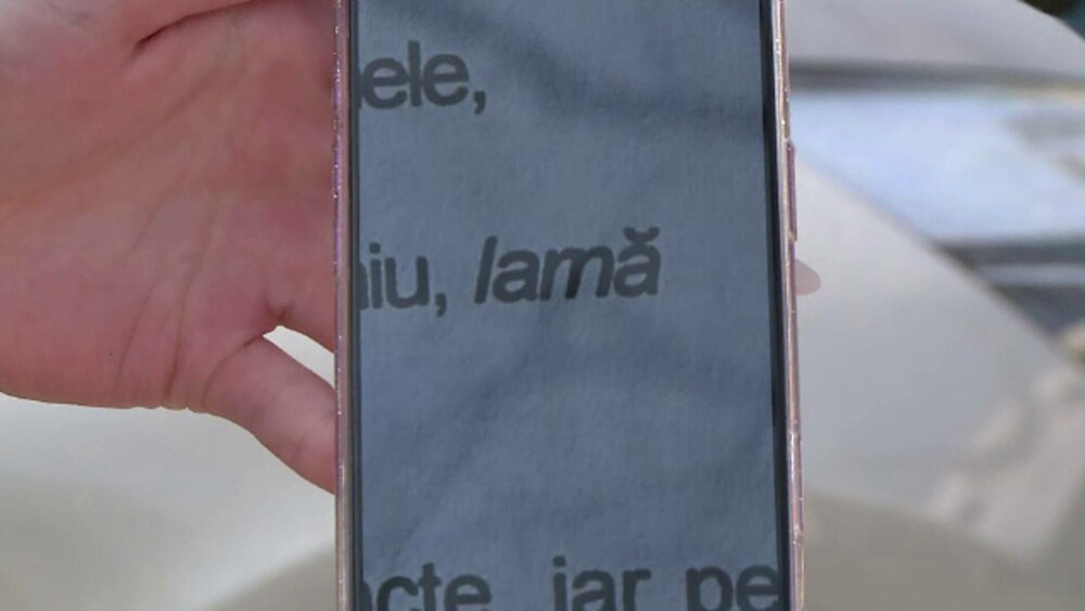 Limba română, marea provocare la simularea Bacalaureatului. Elevii au confundat „Iarna” cu „lama”. Cum s-a produs confuzia - Imaginea 2