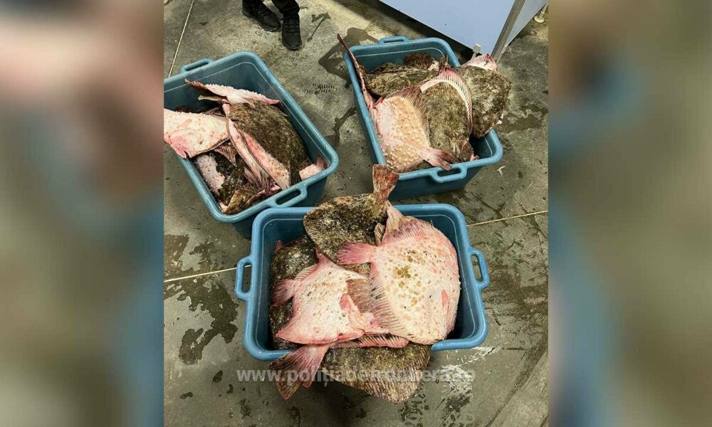 Ce a găsit Garda de Coastă în barca unor pescari, la Costinești. FOTO - Imaginea 1