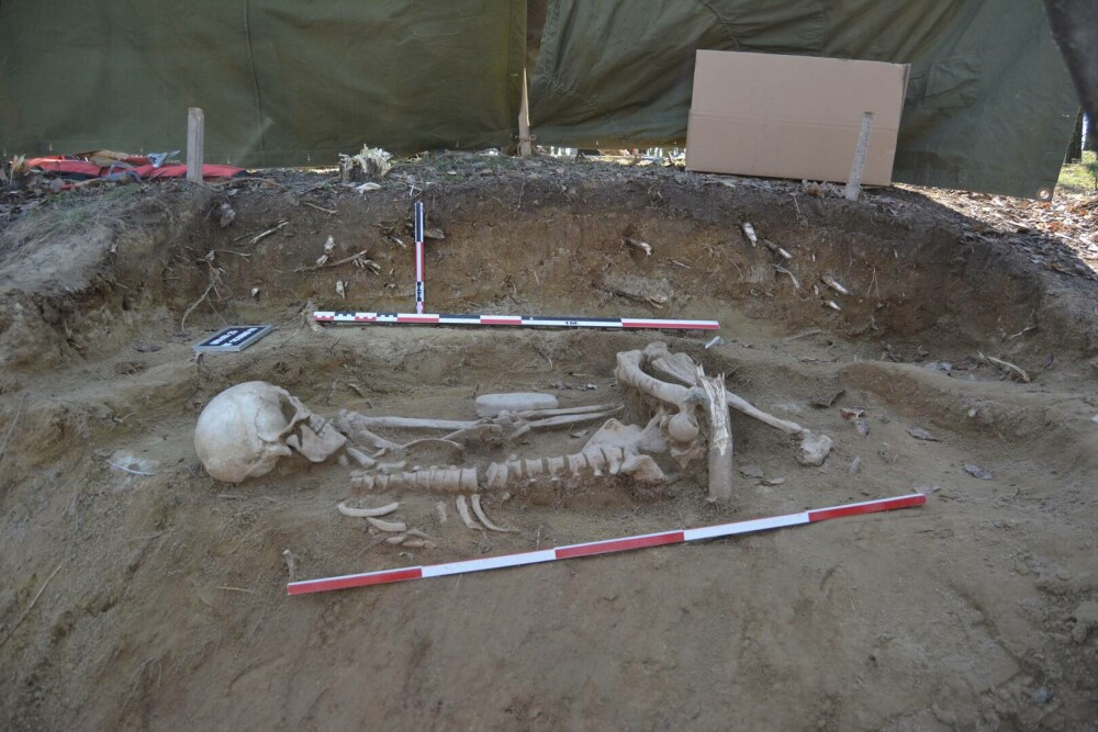 Ciobanul din Prahova care tot face descoperiri ieșite din comun. De data aceasta, ce a găsit are 5.000 de ani | FOTO - Imaginea 1